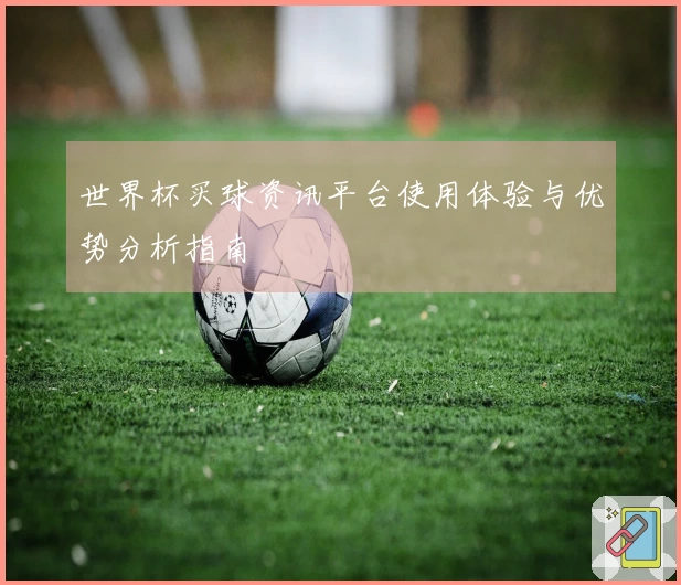 世界杯买球资讯平台使用体验与优势分析指南