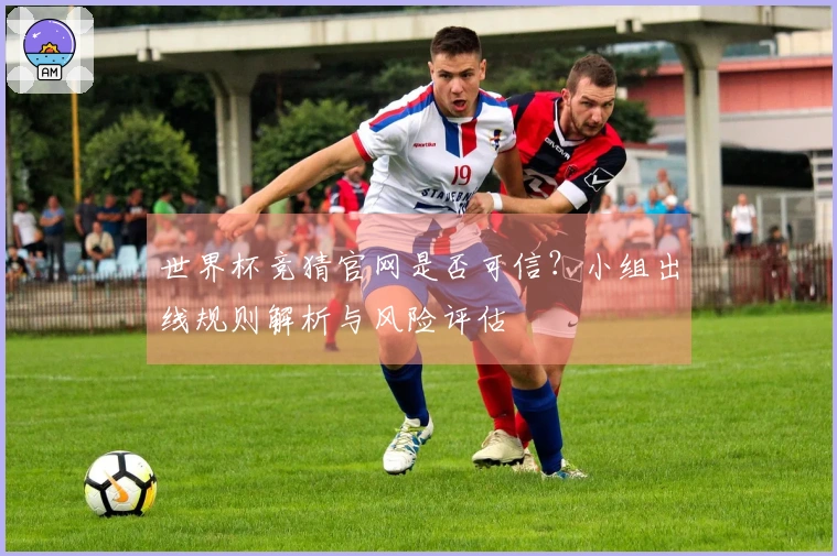 世界杯竞猜官网是否可信？小组出线规则解析与风险评估