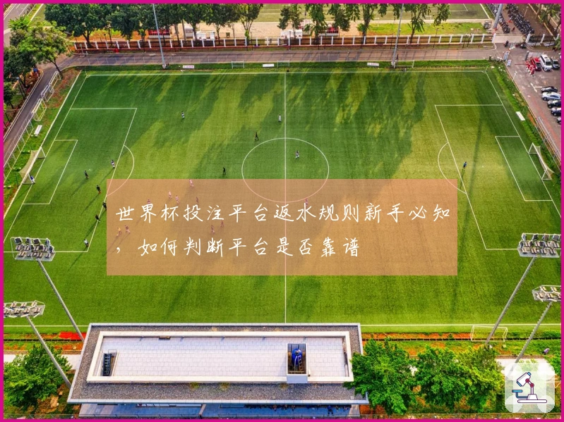世界杯投注平台返水规则新手必知，如何判断平台是否靠谱