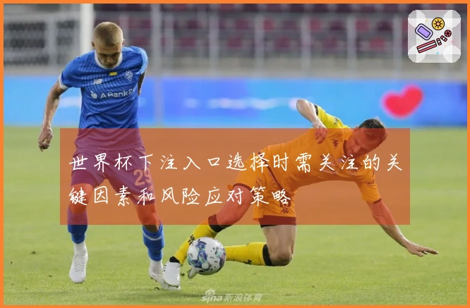 世界杯下注入口选择时需关注的关键因素和风险应对策略