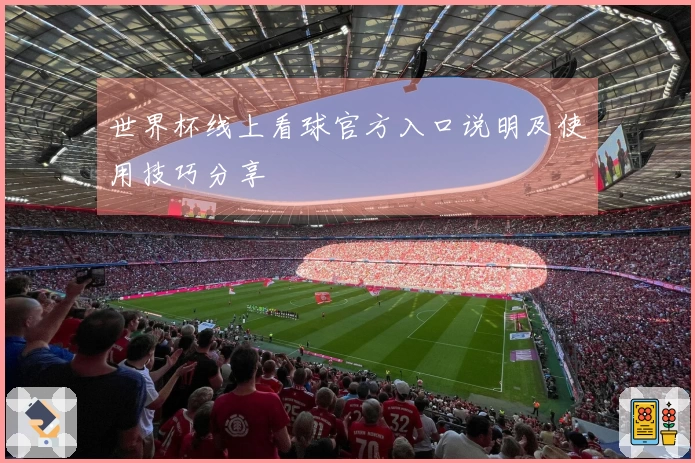 世界杯线上看球官方入口说明及使用技巧分享