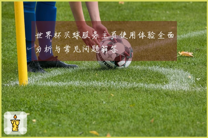 世界杯买球服务主页使用体验全面分析与常见问题解答