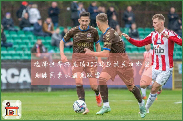 选择世界杯竞猜app时应该关注哪些关键因素以避免踩雷