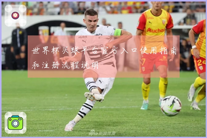 世界杯买球平台官方入口使用指南和注册流程说明