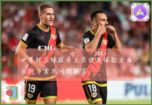 世界杯买球服务主页使用体验全面分析与常见问题解答