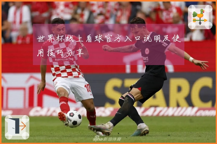 世界杯线上看球官方入口说明及使用技巧分享