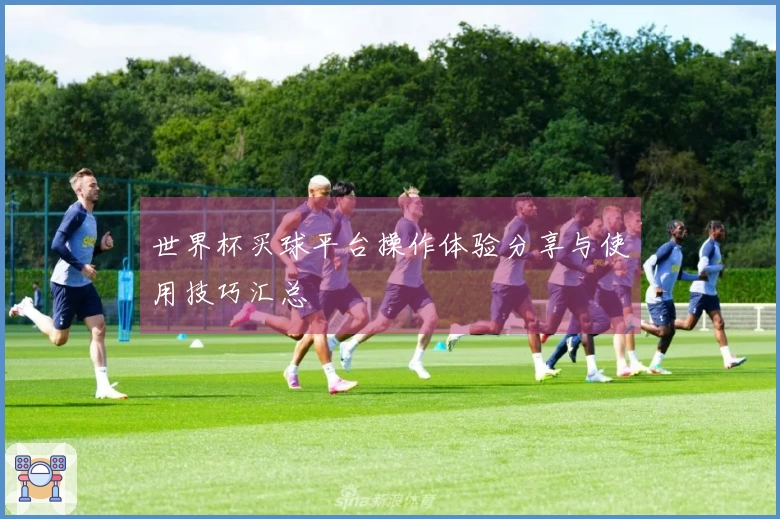 世界杯买球平台操作体验分享与使用技巧汇总