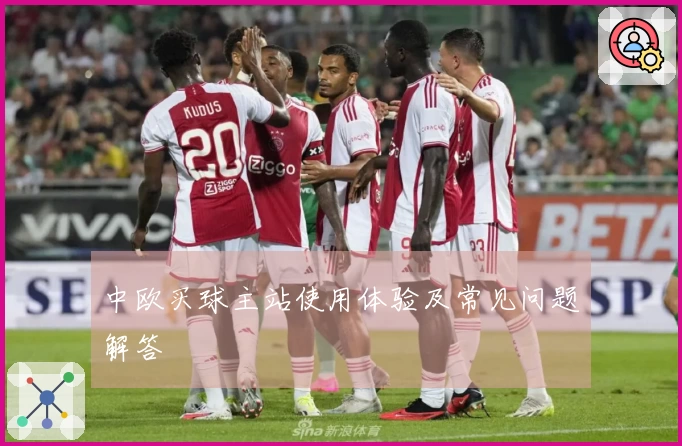 中欧买球主站使用体验及常见问题解答