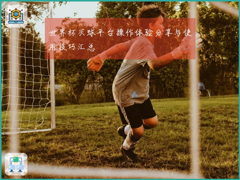 世界杯买球平台操作体验分享与使用技巧汇总