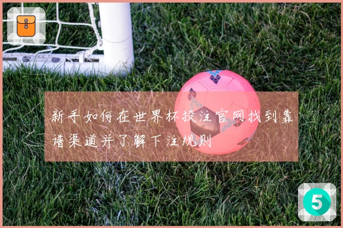 新手如何在世界杯投注官网找到靠谱渠道并了解下注规则