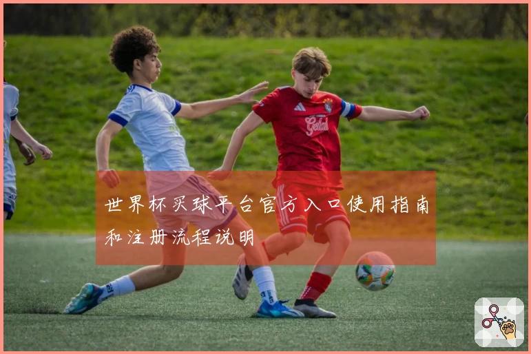 世界杯买球平台官方入口使用指南和注册流程说明